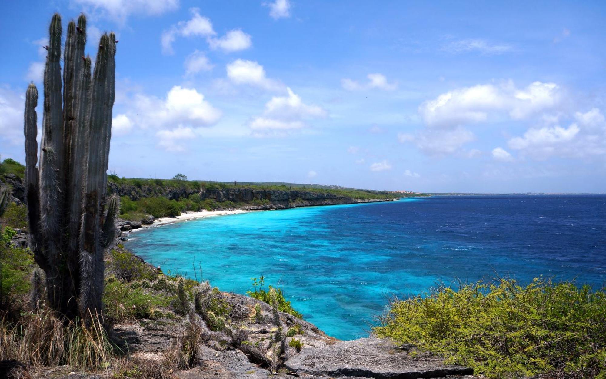 Bonaire 2 Stay Playa Exterior foto